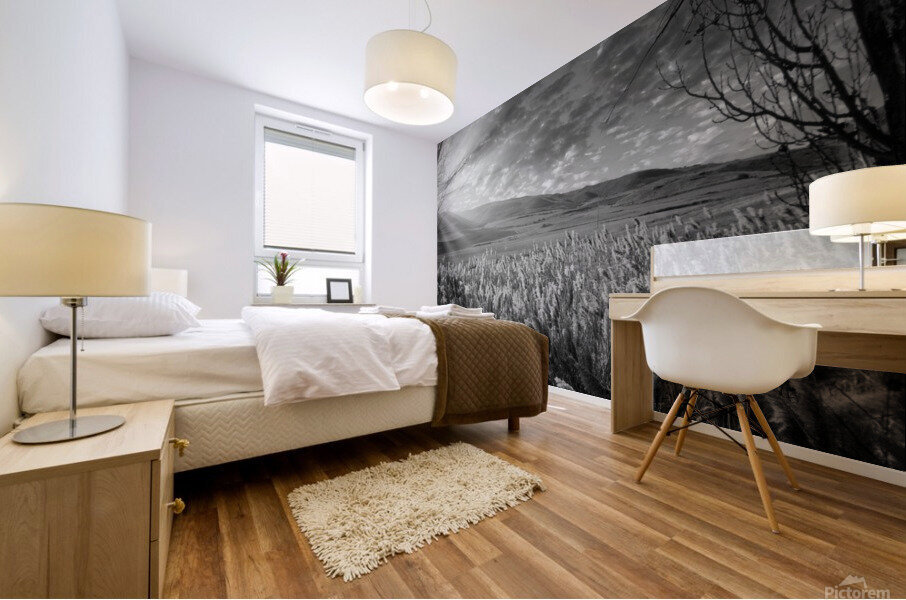 Morning Countryside Andalucia Spain Mural print