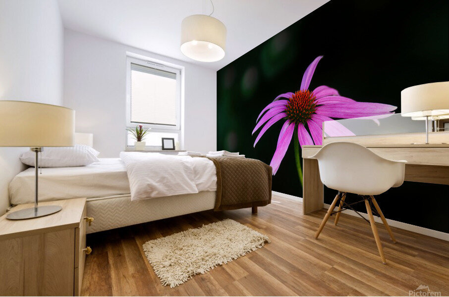 Wild Coneflower I Mural print
