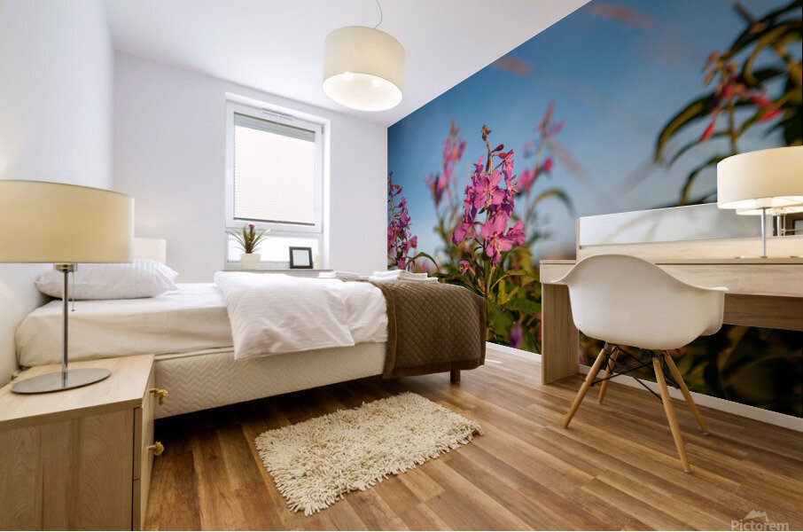 01092020 tirage isadora photo voyage côte nord  1678551943.8116 Mural print