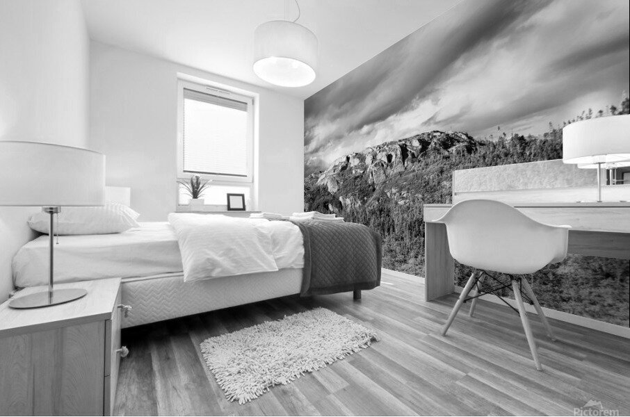 31082020 tirage isadora photo voyage côte nord Mural print