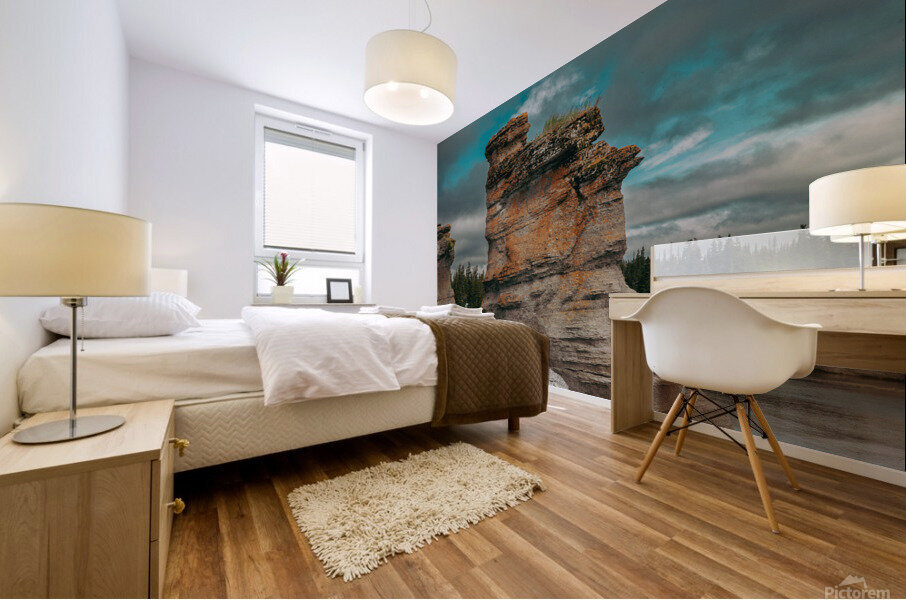 28082020 tirage isadora photo voyage côte nord  1678551944.1776 Mural print