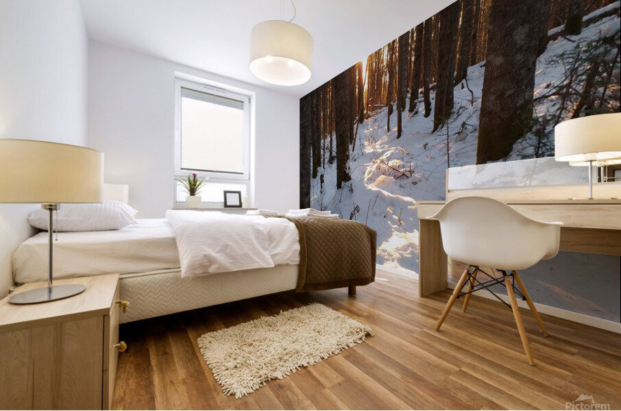 Lumiere de la foret Mural print