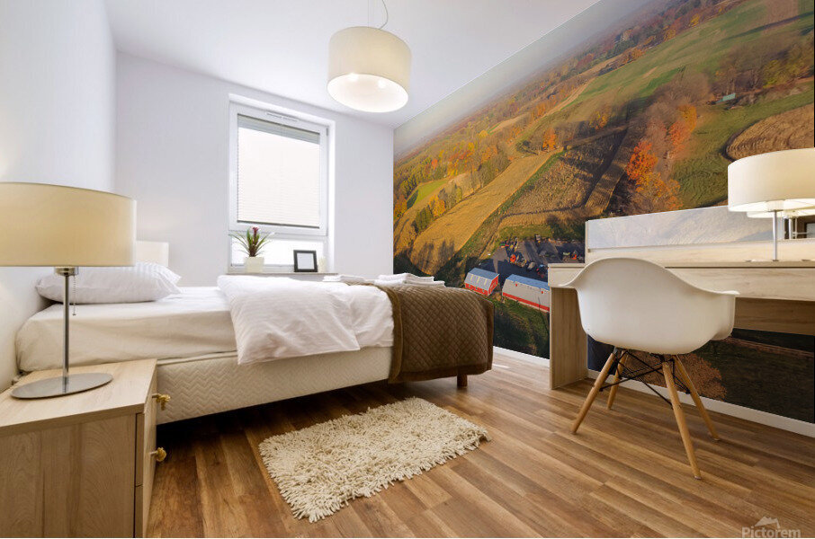 US ROCHESTER RED BARN TOWER SILOS CORN FIELD ROCH Mural print