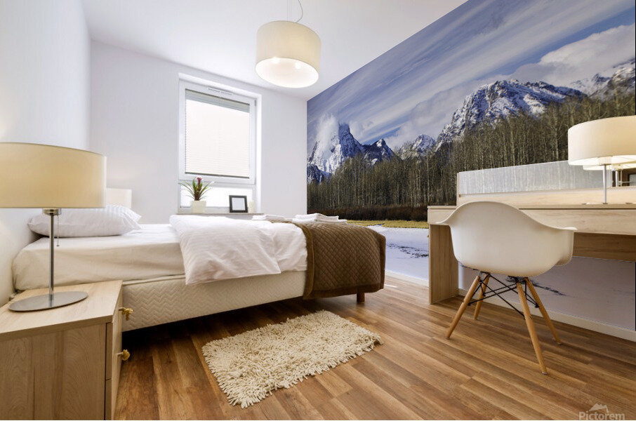 20211207  DSC9332 Edit 16x36 Mural print