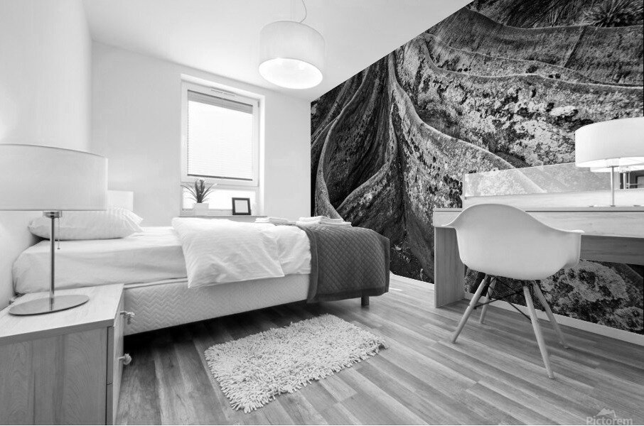 20221027 DSC 7314 Edit bw 16x24 Mural print