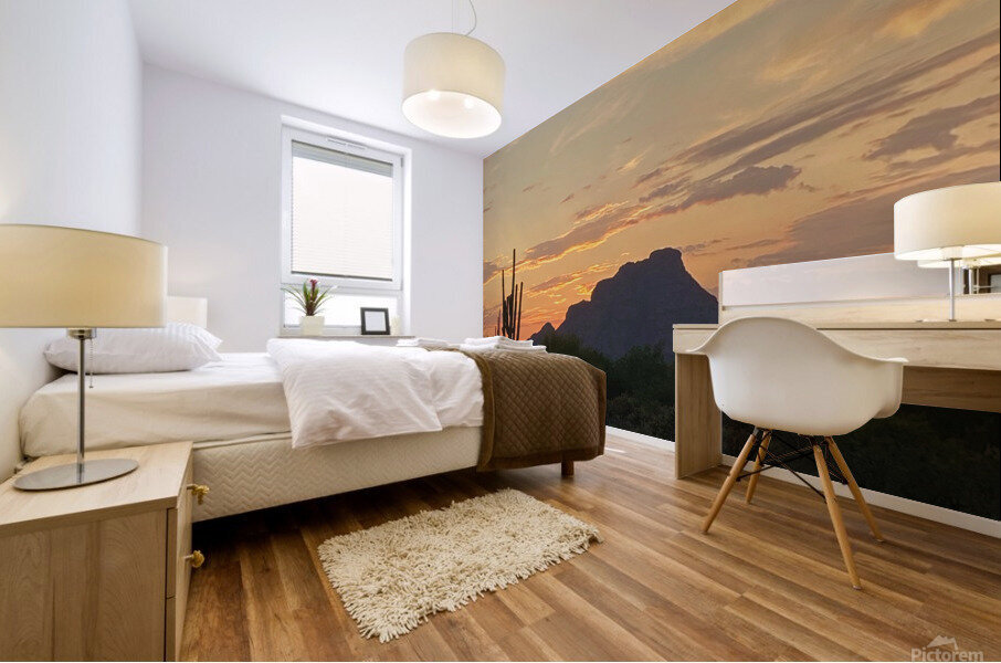 Arizona Sunset Mural print