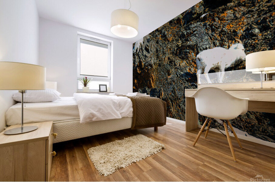 Sheep triplet on ridge Seward highway Mural print