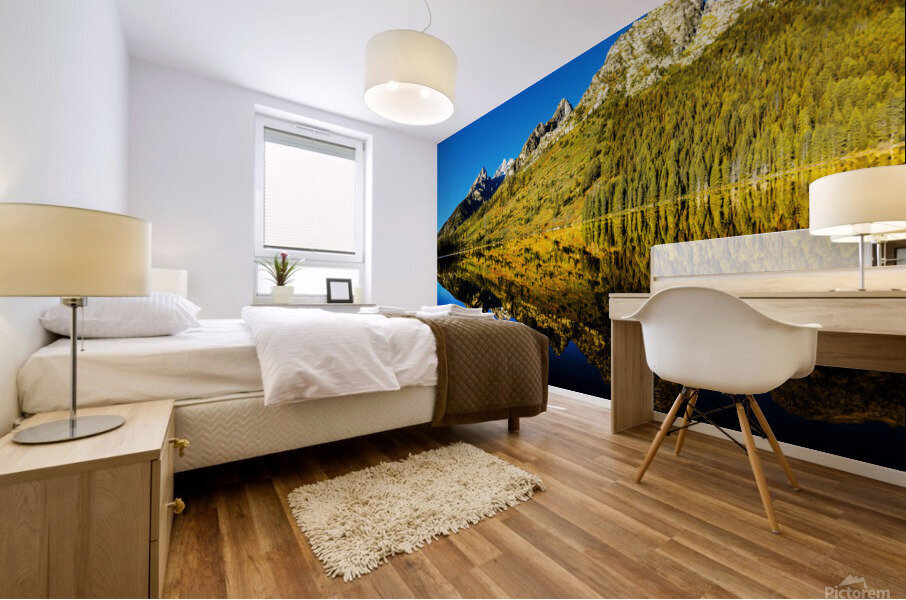 Solitude at String Lake: A Hidden Gem in the Tetons Mural print