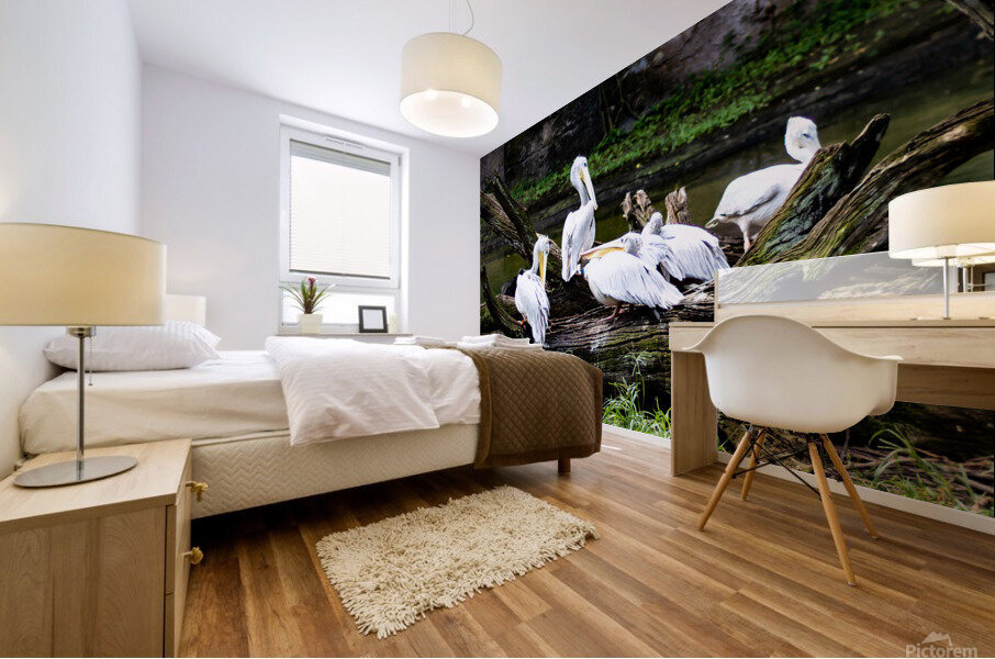 Pelican Hangout Mural print