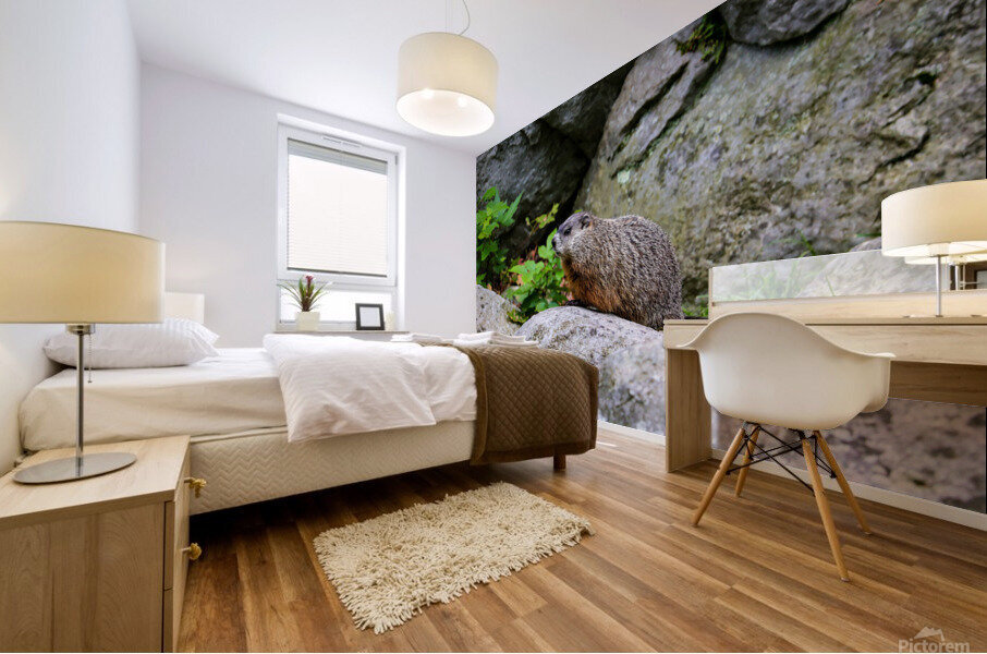 Groundhog Mural print