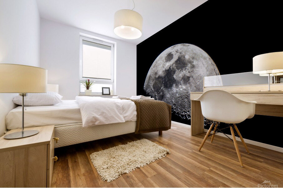 Moonrise Mural print