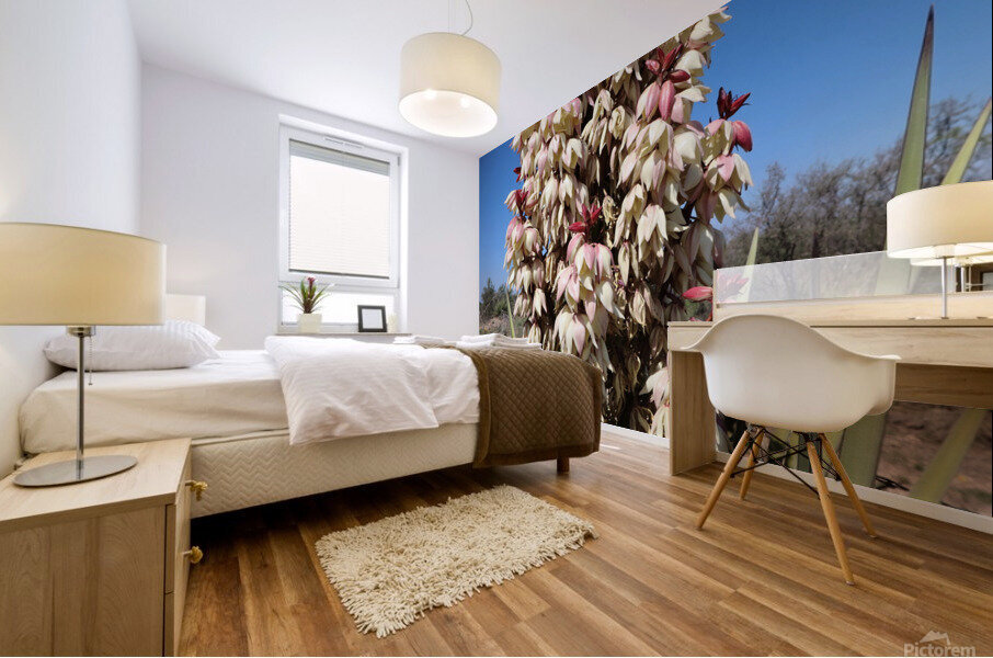 Spanish Dagger - Natural Mural print