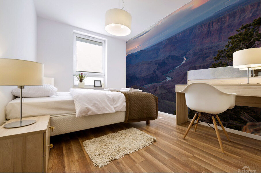 Grand Canyon Mural print