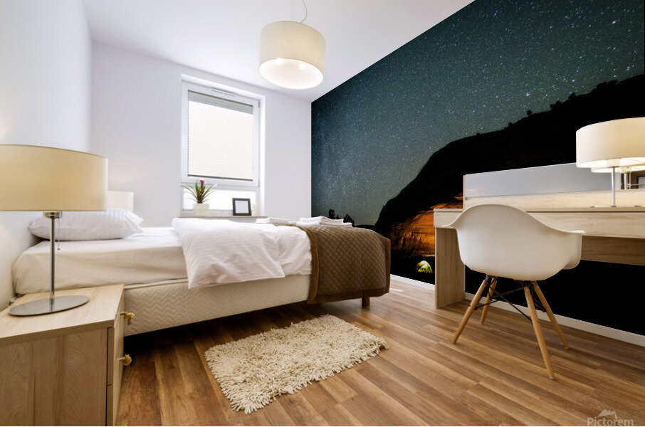 IMG 8171 Mural print