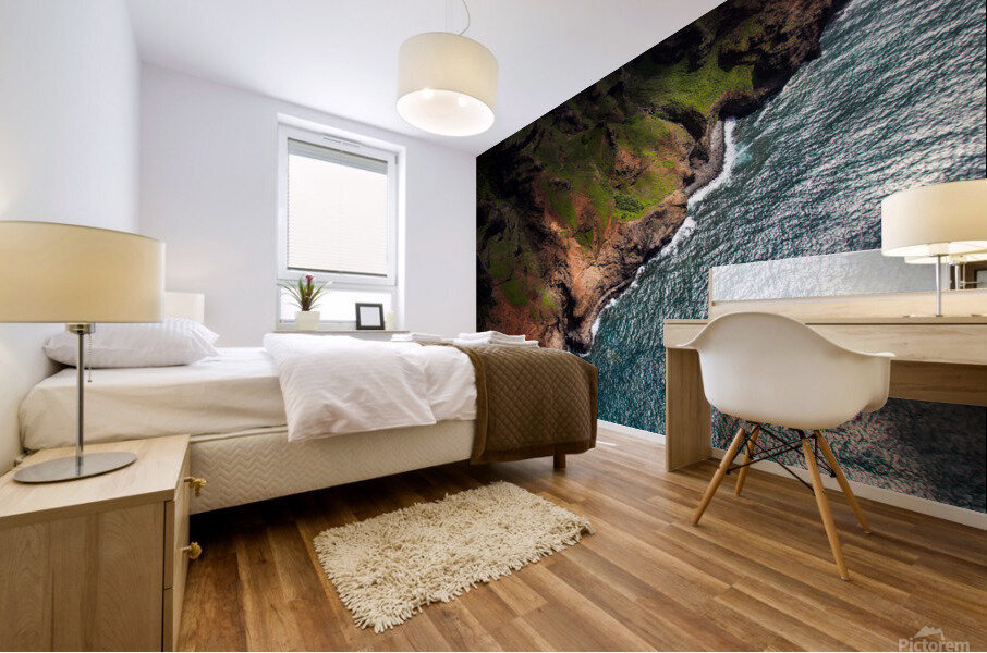 IMG 7306 Mural print