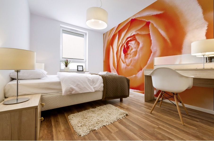 Orange Rose Mural print