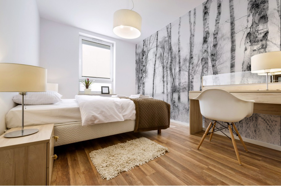 Black and white Mural print