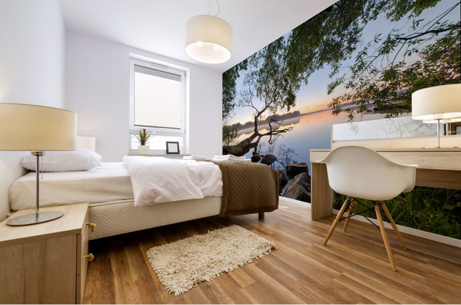 Lake view Mural print