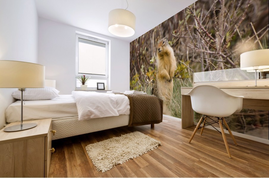 Colombian Ground Squirrel Mural print
