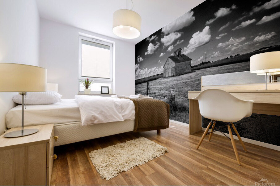 posted il Mural print