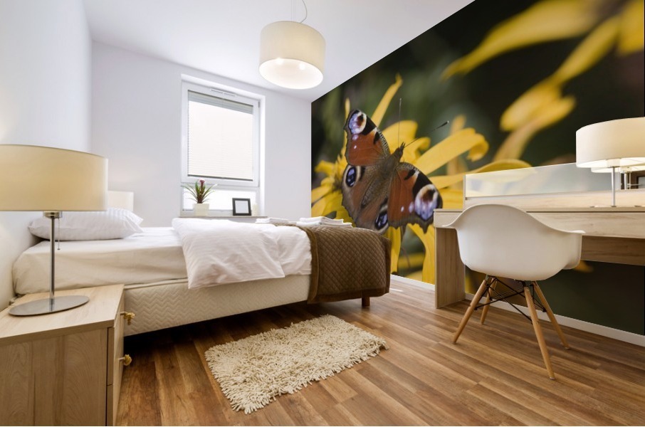 Butterfly (Lepidoptera) Mural print