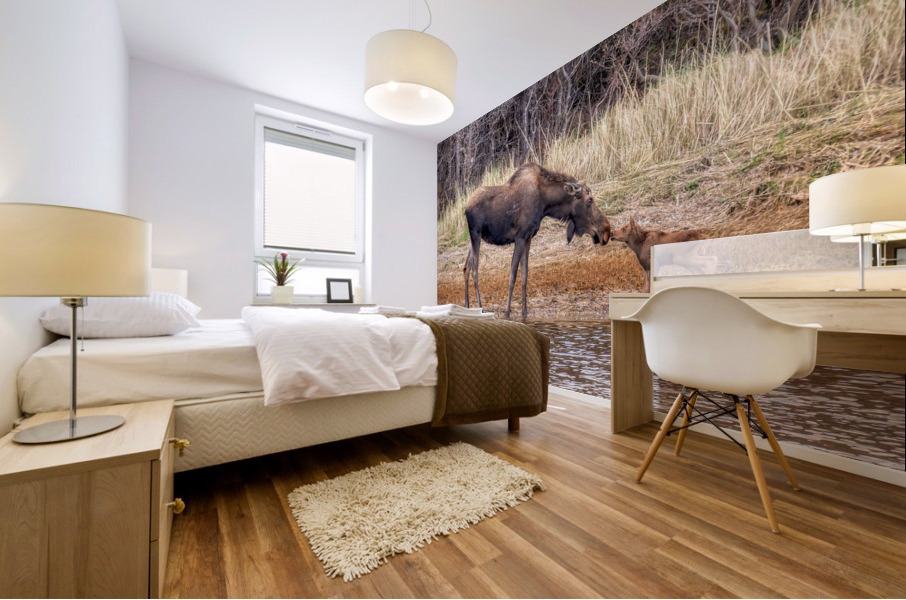 Young_Kisses Mural print