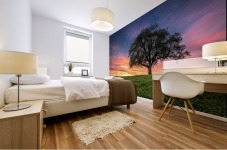 Lonely Tree at Sunset Mural print