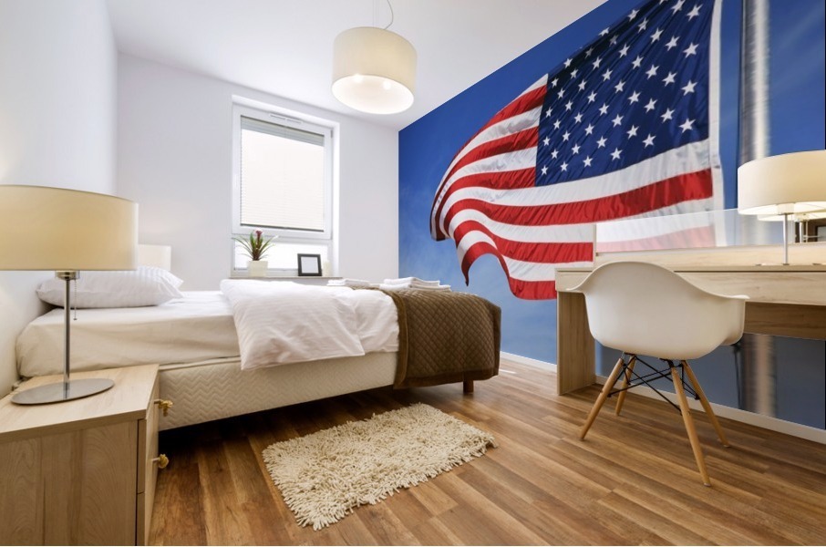 The American Flag Mural print