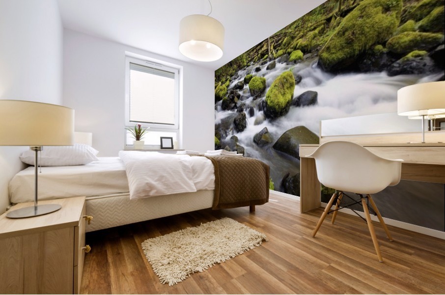 Water Flowing By Moss Covered Rocks In A Stream Mural print