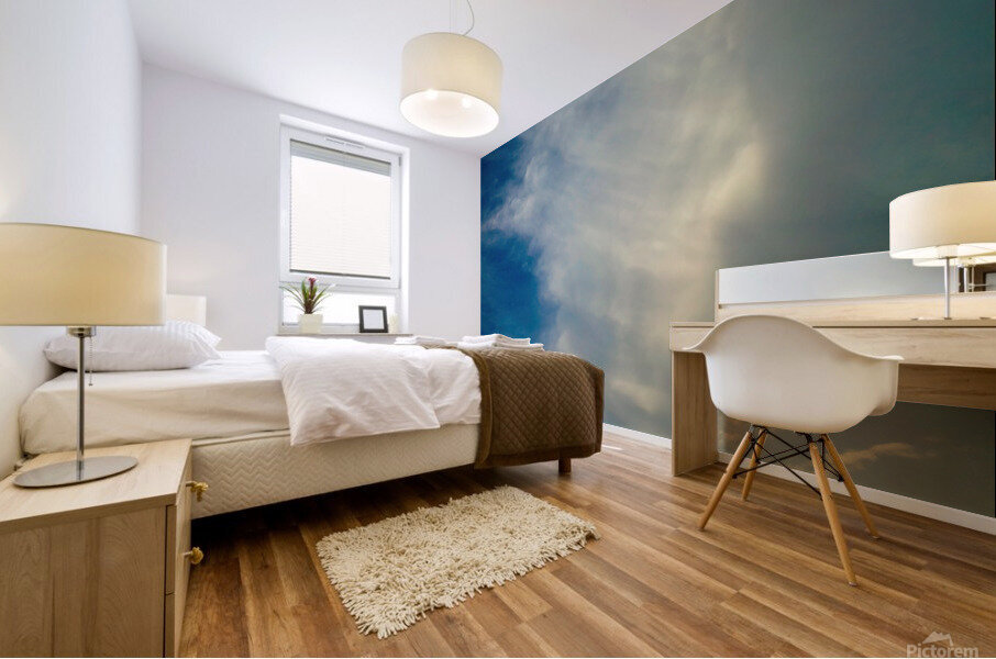 Rushing Wind Mural print