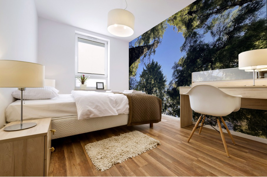 IMG 8419 Mural print