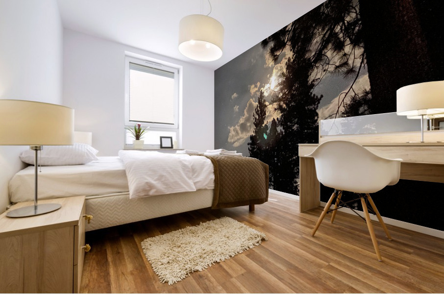 IMG 4387 Mural print