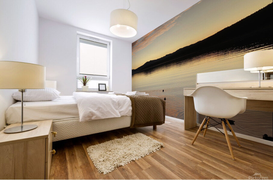 IMG 2273 Mural print