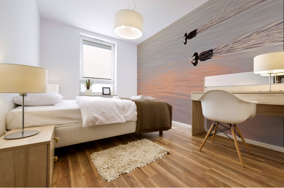 IMG 2284 Mural print