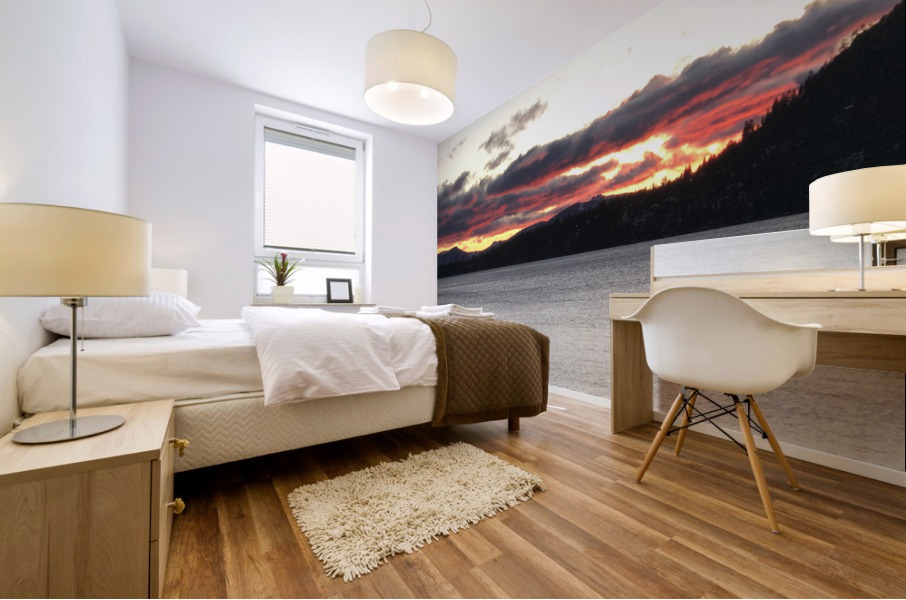 IMG 9872 Mural print