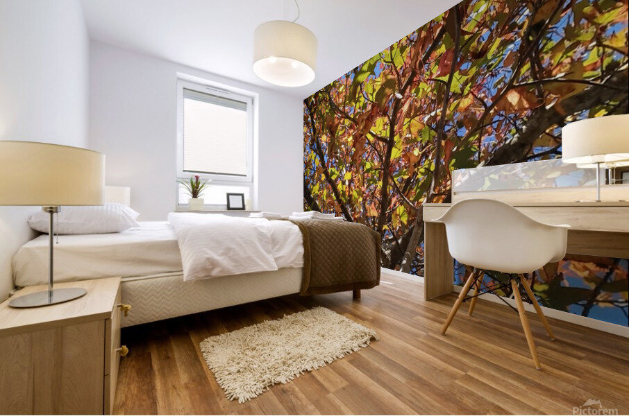 AUTUMN TREE Mural print