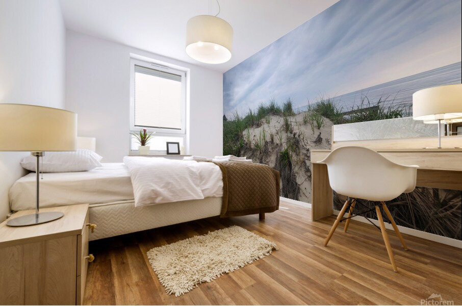 20230607 161605 Mural print