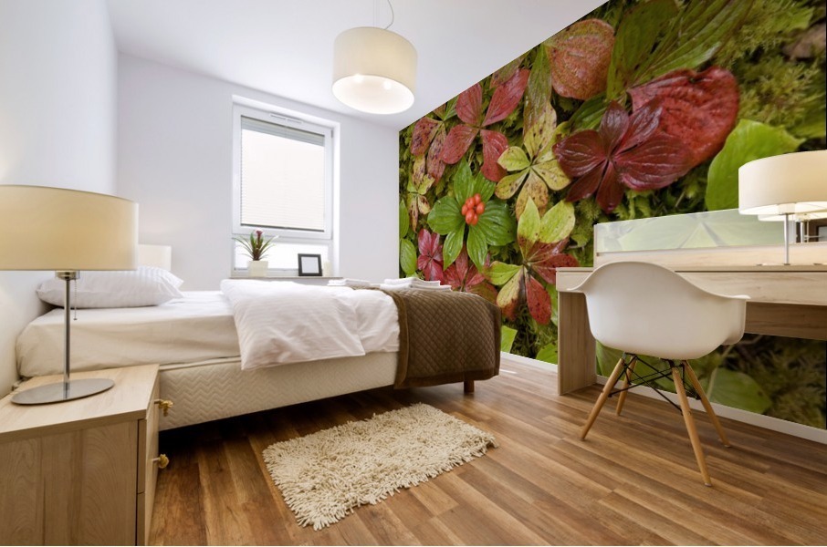 Dwarf Dogwood Growing From A Bed Of Dense Mosses, Transitions From The Greens Of Summer To The Reds Of Fall, Tongass National Forest, Alaska. Mural print