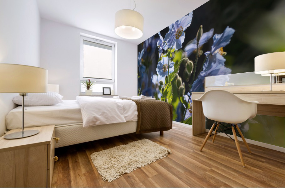Pavots bleus | Blue Poppies 0562 Mural print
