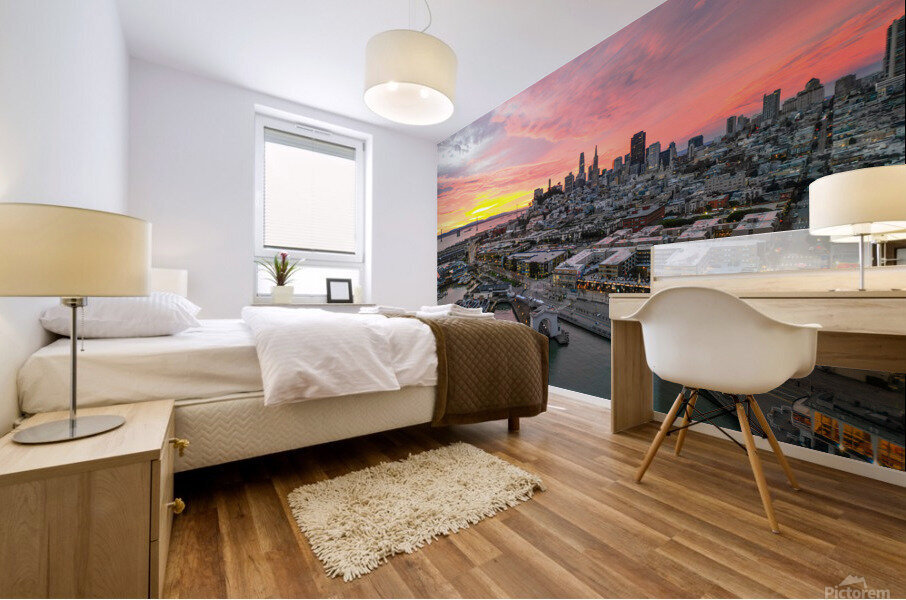 SanFrancisco1 Mural print