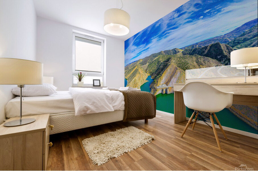 California1 Mural print