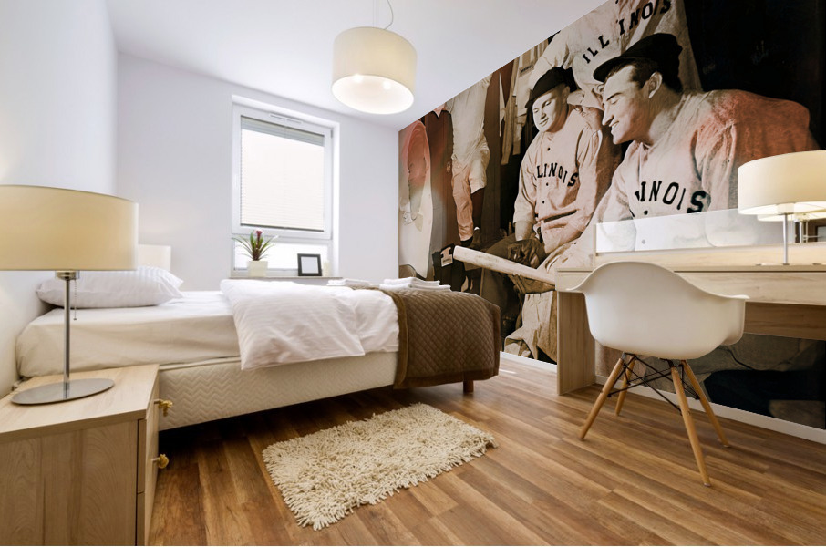 Vintage Illinois Illini Baseball Art Mural print