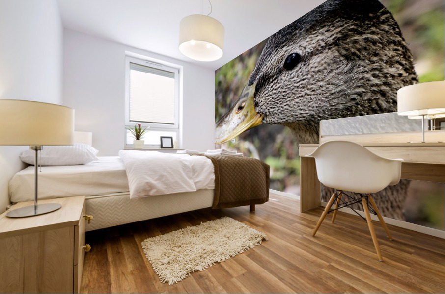 Canard Macro Mural print
