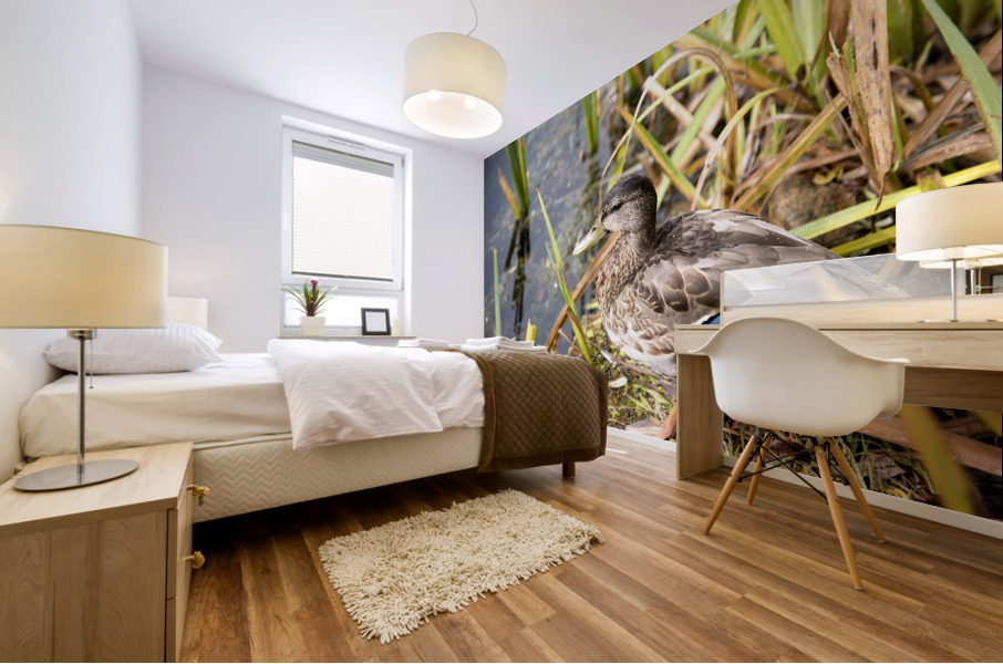 Belle journee au soleil Mural print