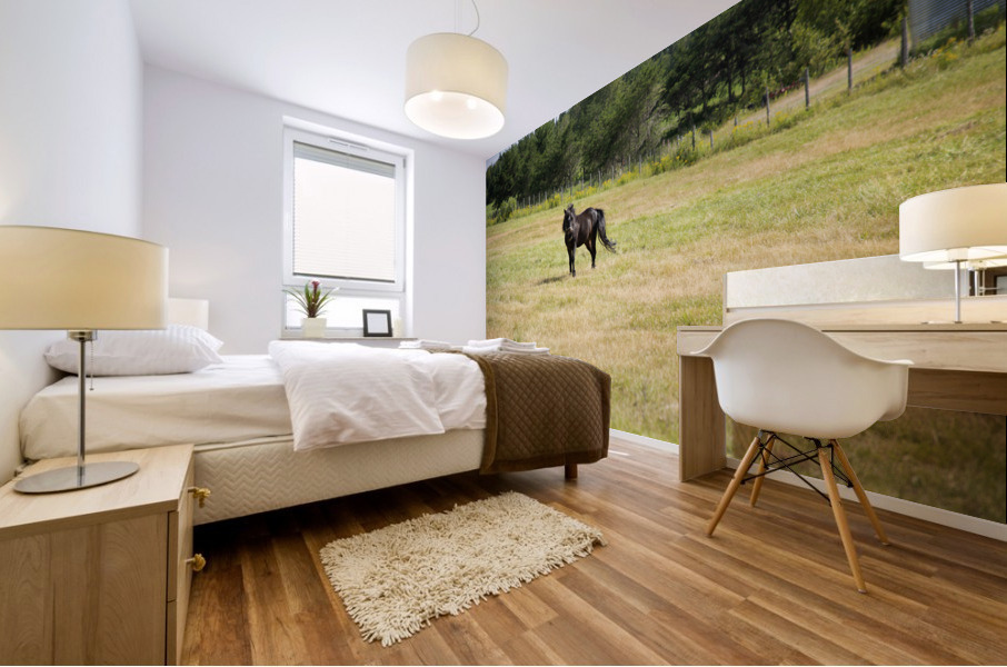 Cheval au galop Mural print