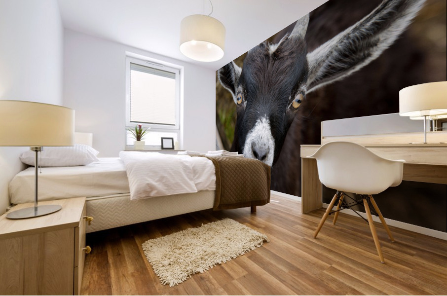 Chevre macro Mural print