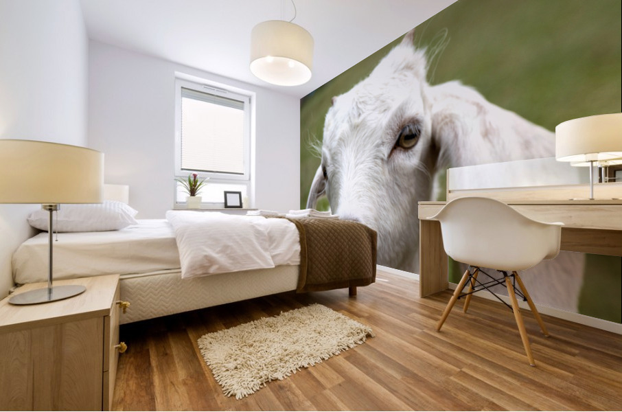 Chevre blance de M. Seguin  Mural print