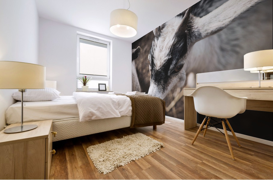 Nouveau bebe chevreau Mural print