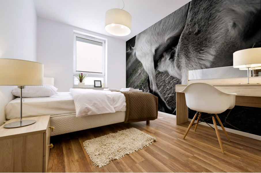 Chevreau qui mange Mural print