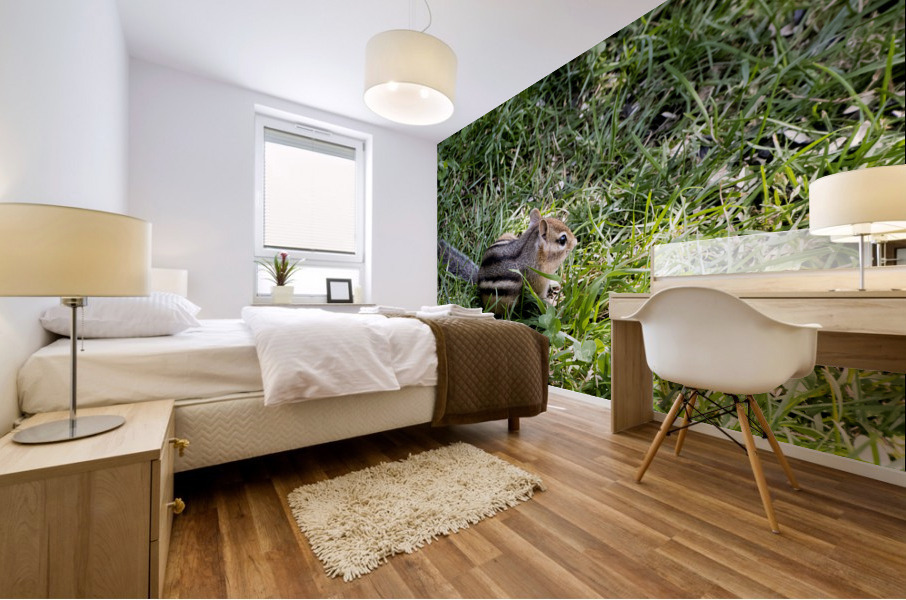 Suisse du Quebec  Mural print